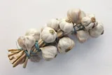 Garlic — illustrative photograph