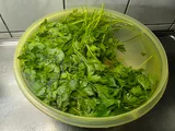 Parsley — illustrative photograph
