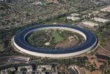 Apple — illustrative photograph