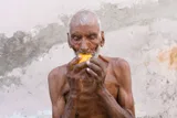 Mango — illustrative photograph