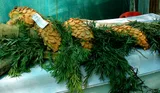 Carrot — illustrative photograph